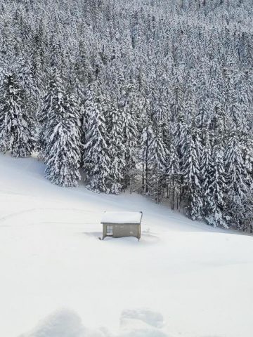 31G101753-119d36a7d9984c4988828f4b27170884