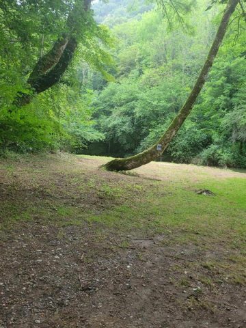 31G101753-25ab5a7eb58c4bfdb7f16ea7f1ab2283