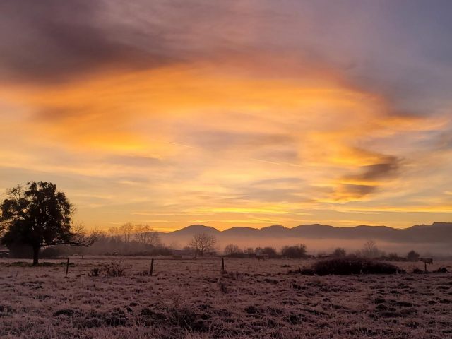 31G101753-35462026ed6a45948c1865e96b802dd6