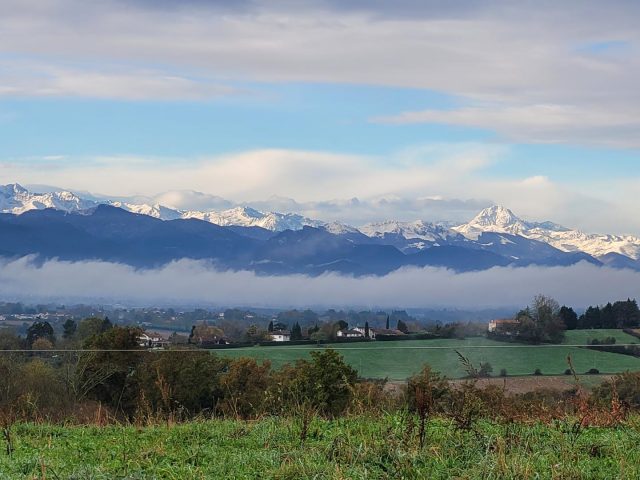 31G101753-4aec5dcd5d63490892f4df6edd6b9f3f