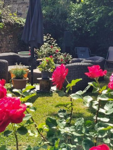 31G101753-69973a4a7b0345828fbf01448520bd1c