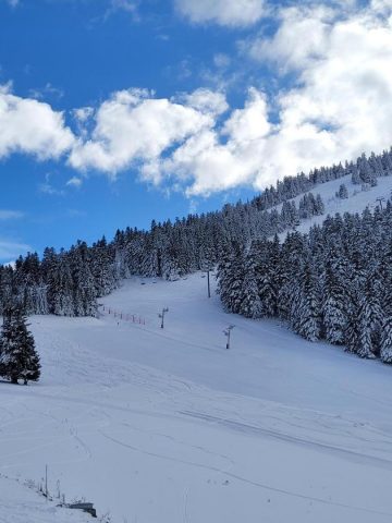 31G101753-6cc91d099d7342aa8b3c9aebf8f3066c