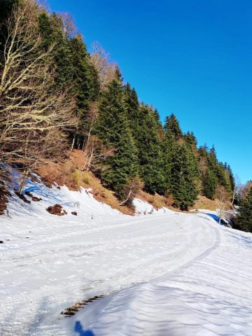 31G101753-7eb054ac85e34566bba453e66ba10490