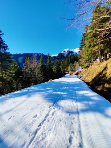 31G101753-a85054ac1b464b9397529e996bd3a041