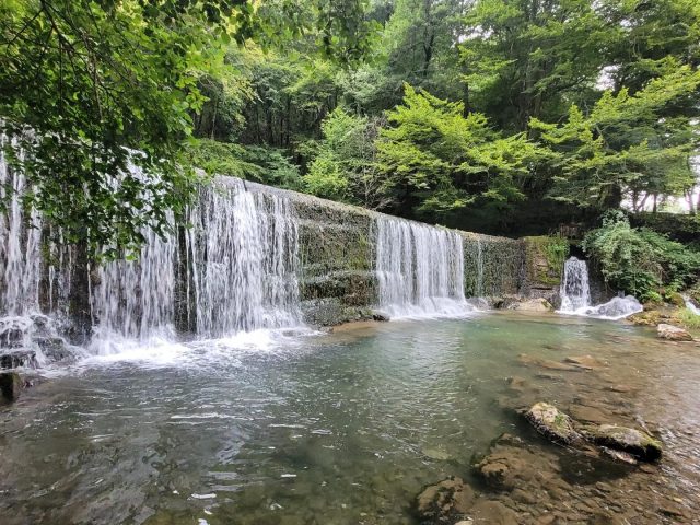 31G101753-a9f6961658d540b0837aa2c753838a37