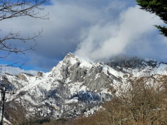 31G101753-b05fa57879084e55bd3ffa44440a2b1b