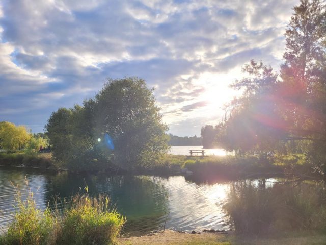 31G101753-ea0e1fa9aa0548a5a6a5c779760ba55e