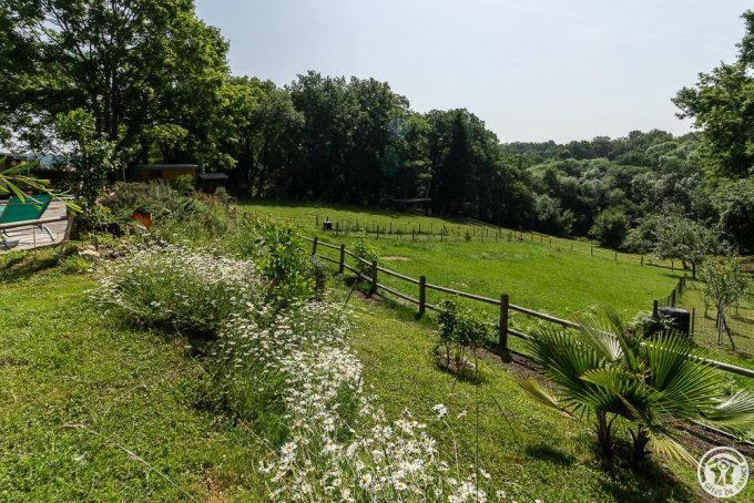 31G101765-94ca8fb2baeb45e4994e5f1e607e982e