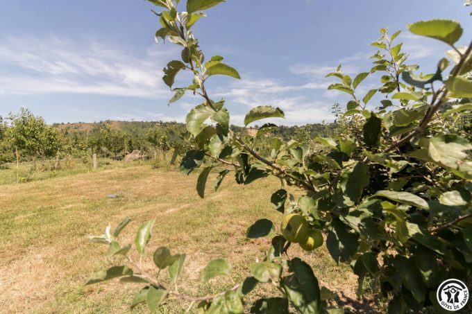 31G101769-3391d9d1c0d44a8f9829d6803af7f68d