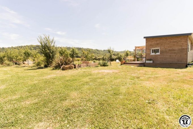 31G101769-8e66439b7c1347388b9247b56c0f726b