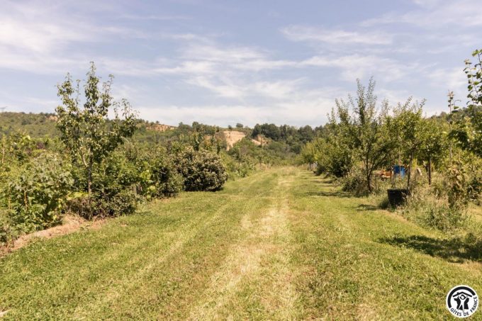 31G101769-c3593bd1b94e4b018a5710a7e04935dc