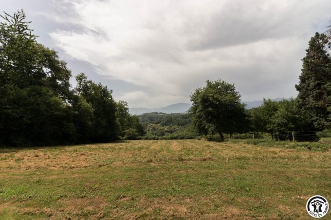 31G101770-e9616735eb6748ce9a6234e3ecb598e1