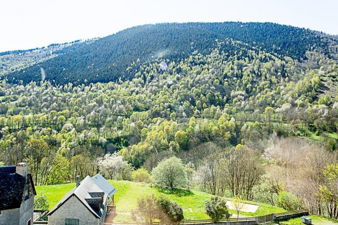 31G101777-0be0f6d1fad34ad8844224947bcbed66