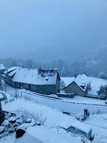 31G101777-43eb965b3e12466fab5c1669c823b62f