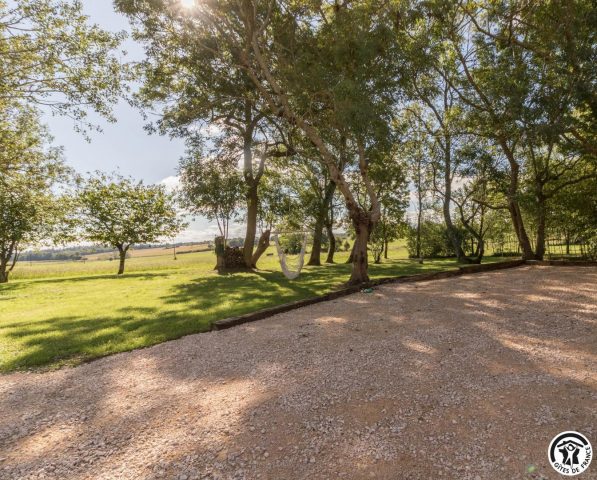 31G101785-56f55cf5df3c4f9d8dbd8d387194588d