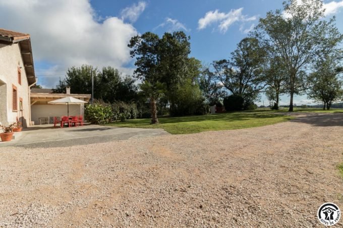 31G101785-64e7c759f54a48af974a64ace0048491