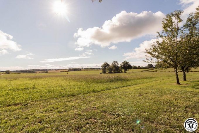 31G101785-fe22647520e0420aa811aa8679457218