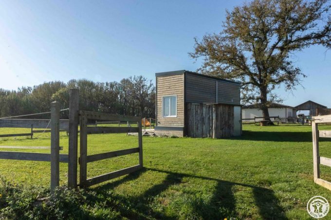 31G101790-9d623507cdd941f584578563110311f9