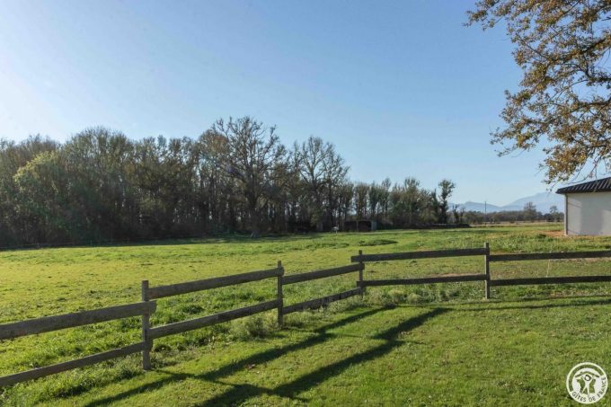 31G101790-a931890e7a4044f9a681e09e8dd998b5