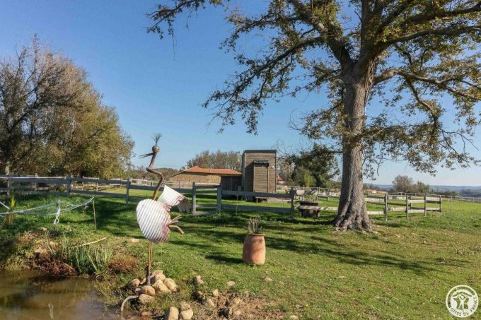 31G101790-bce37701ec2f46b3b67811b2789974d6