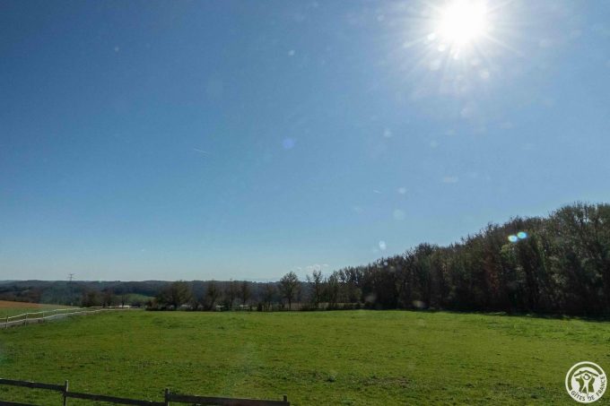 31G101790-bd256e680e9741dd9c6d1d0d035f08eb