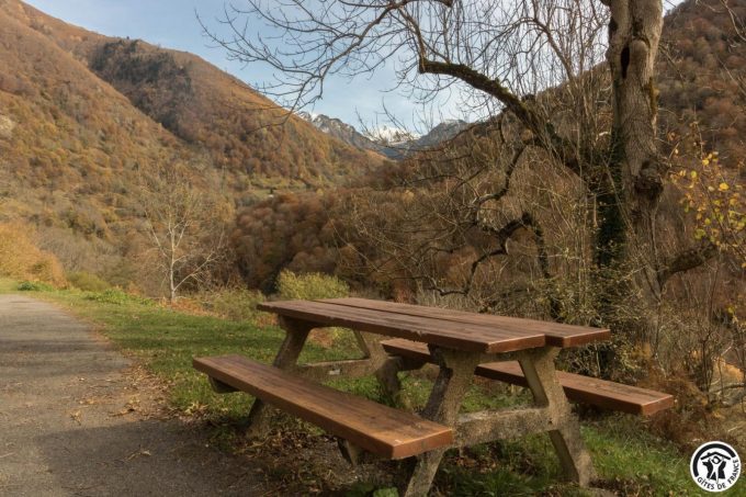 31G101793-0c51df1f73c845338834e4ae563d2b17