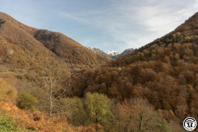 31G101793-2066603c174549f38b2490c828bc4bcd