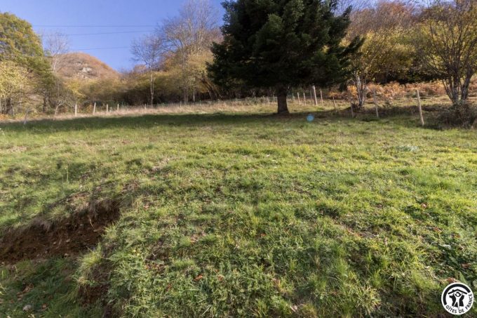 31G101793-3537171785514ee2a58380a30b8e9d10