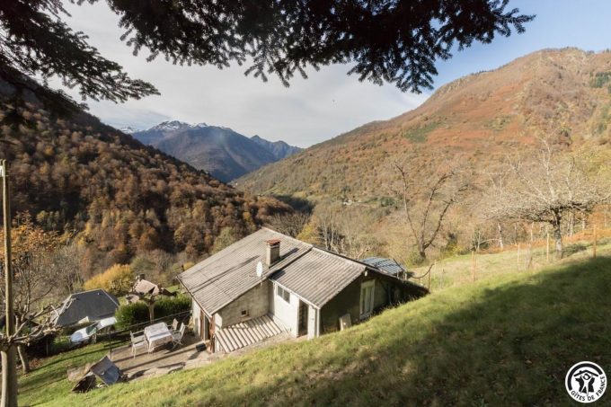 31G101793-595ddf1c2e224d97a1f765322c9dd224