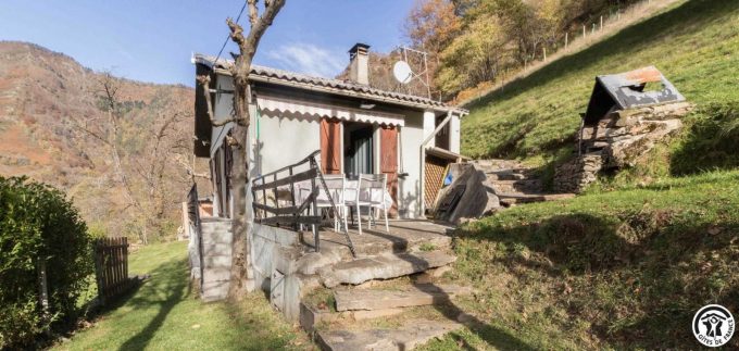 31G101793-653a22d5e848402d85a8ad9adbf4462a