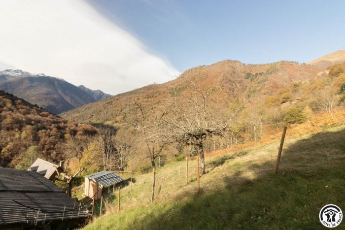 31G101793-6a589b156db745dcb9de6c3aef2891d6