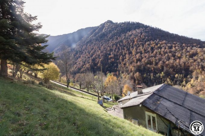 31G101793-93b82dd2bd654cd9873effbaee916bd7