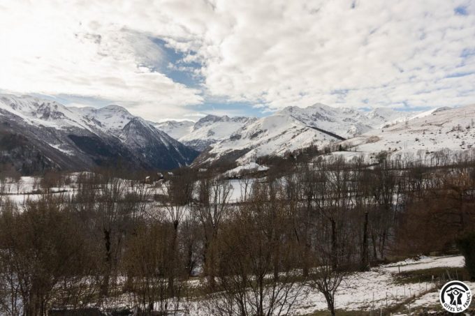 31G101794-05e0f9395d3d46ed841c20788b517216