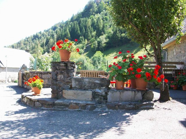 31G114002-1dae2c3d9a65416e964725156f3fe312