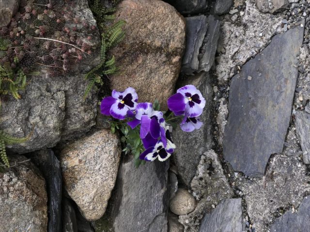 31G114002-636b9f400fe64bdd8996838b34034580