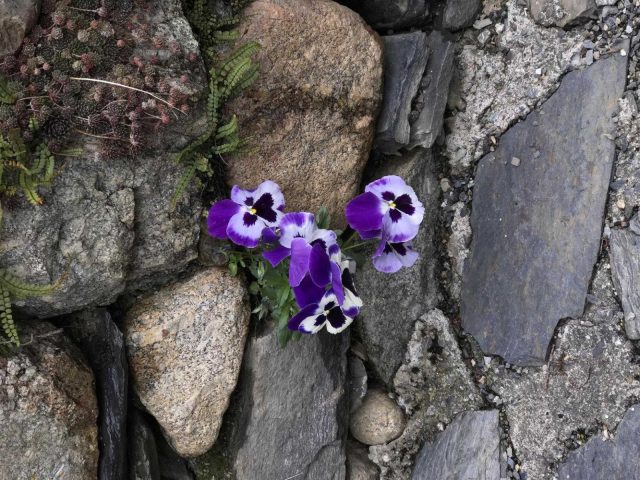 31G114002-f329bb3c22b147519142bd14360e082f