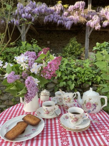 31G300038-1f4e742646584bb6b599e003d7467772