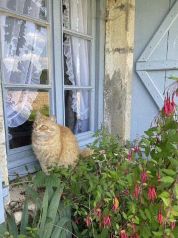 31G300038-48450b3ea23c419ea287ca0dab538167