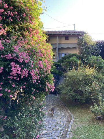 31G300038-796d9c015e134cc597bdf33c36b7b75c