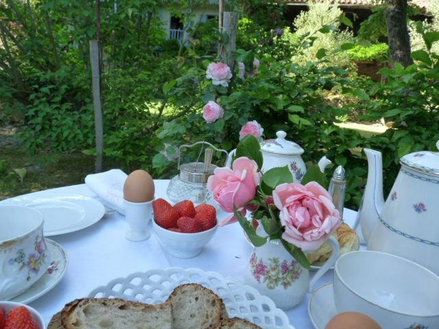 31G300038-7ba02e3a392d4210999652d7b12f736a