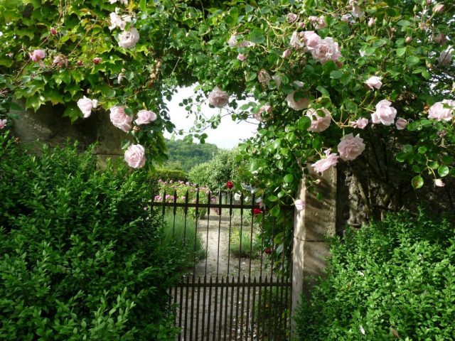 31G300038-9044676508084d82b8da0ca1639c8ce1