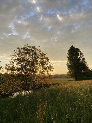 31G300038-961966ffc989484589013fcff6fbe259