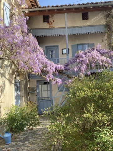 31G300038-a5a950c333154b21a9c6d51b9de471cc