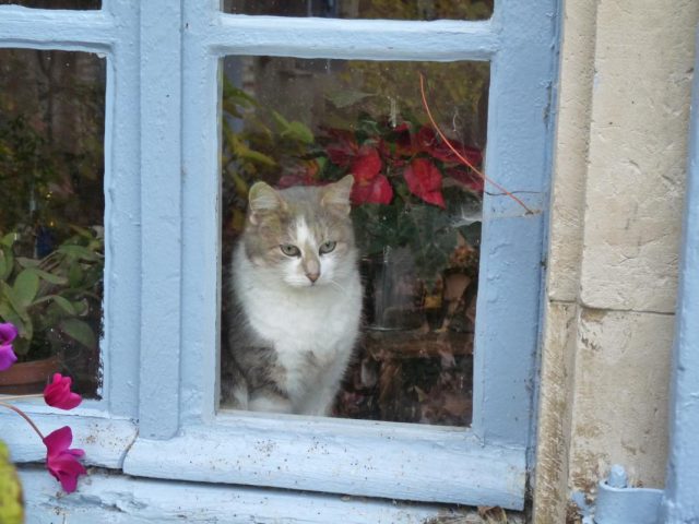 31G300038-fda4739ebb0d4409b66683aeeb2f32fc