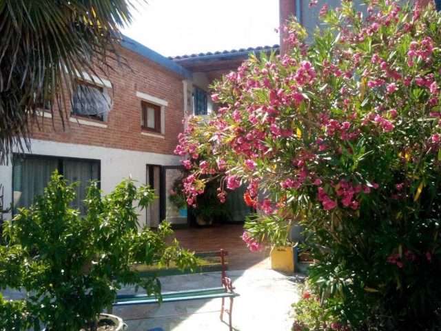 31G300062-0ef2b8b3d5ed43928c0c73cd1a5071fa