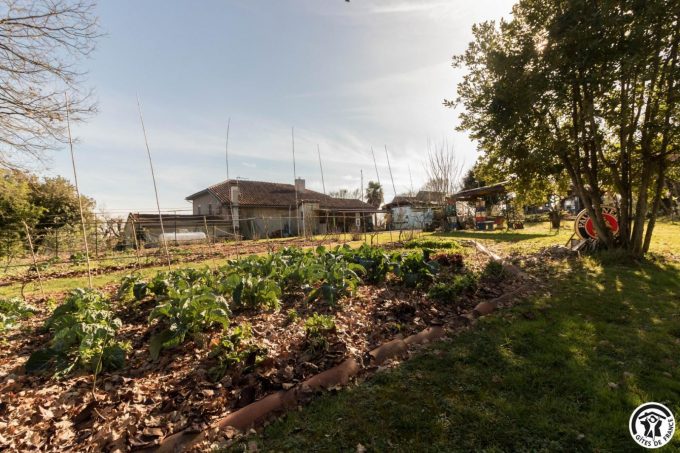 31G300062-4acd8a1557764a8c9f9f767256702d26