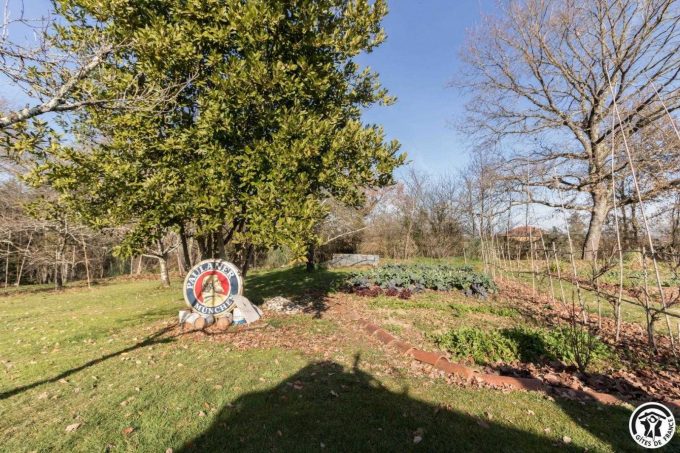 31G300062-b05aa3db9ad24e90a7a5b8fc03c12fec