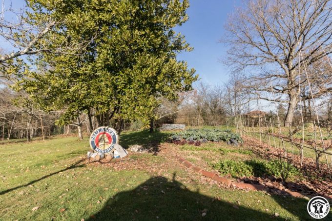 31G300062-ba44a131cbda4b7f88b1e2a68a24d9e6