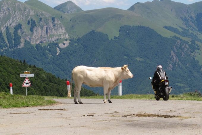 31G300454-fbc7ca3f406c4712a8ce96edc3ea49a5