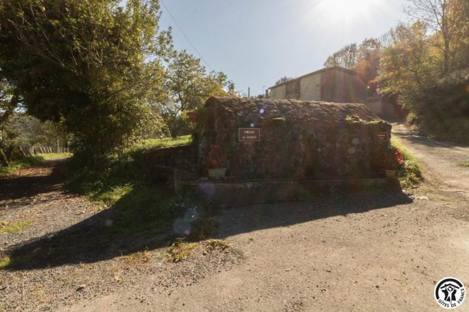 31G301028-be6822916c6c4c2b892ae888dbd60661